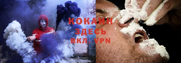 бошки Алексин