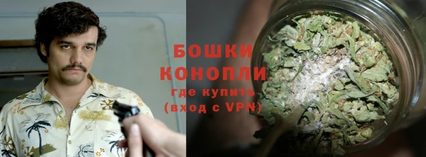 бошки Алексин
