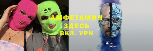 индика Алзамай