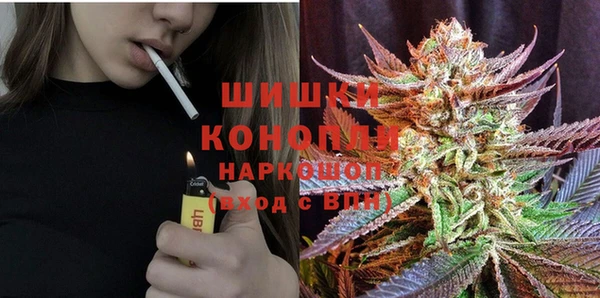 индика Алзамай