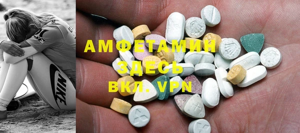 индика Алзамай