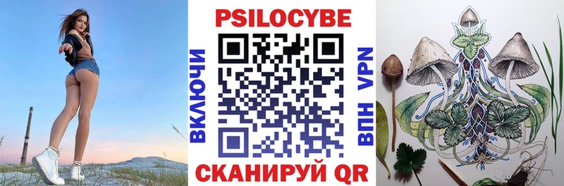 Псилоцибиновые грибы Psilocybine cubensis  Балабаново 